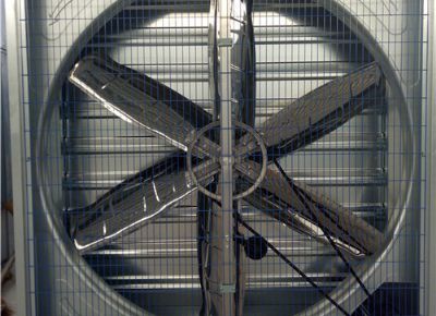 點(diǎn)擊查看詳細(xì)信息<br>標(biāo)題：Heavy Hammer Type Animal Husbandry Fan 閱讀次數(shù)：1686