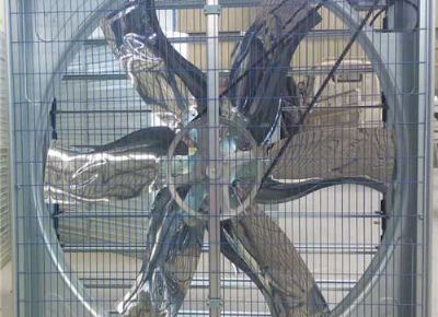 點(diǎn)擊查看詳細(xì)信息<br>標(biāo)題：Push Pull Negative Pressure Fan 閱讀次數(shù)：1477